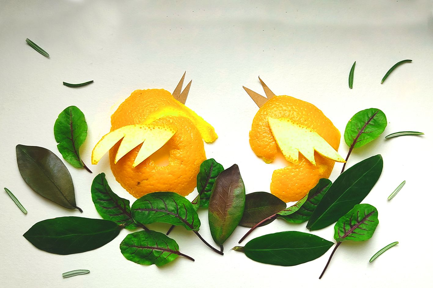 grafika | dwa ptaszki wykonane ze skórki pomarańczy siedzą w gniazdku ułożonym z liści laurowiśni i innych