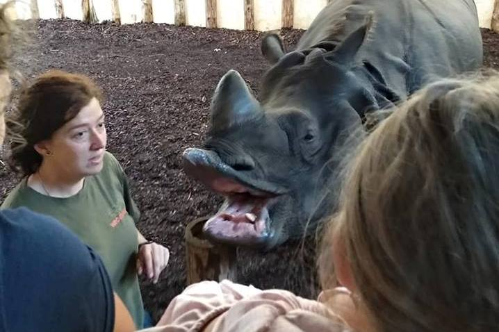 Pani Justyna i jej podopieczny nosorożec