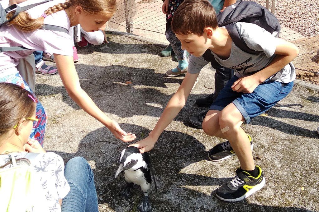 Dzieci głaszczą pingwina