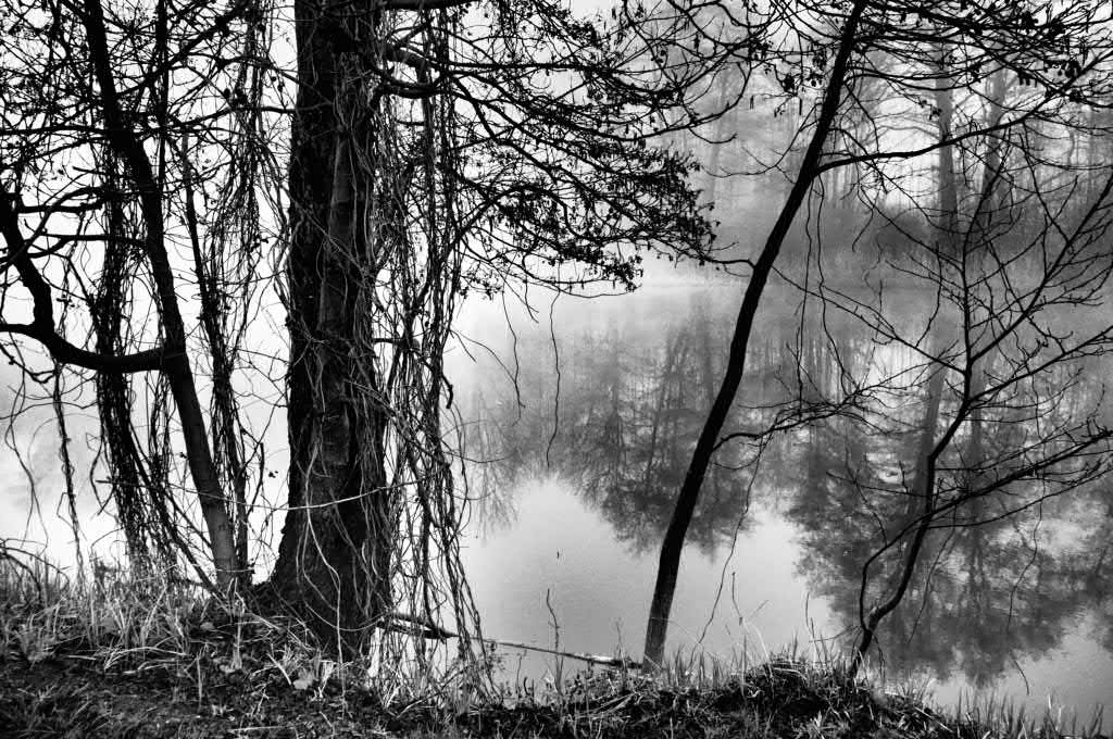 zdjęcie cz-b, zamglony krajobraz, drzewa bez liści nad wodą i ich wodne odbicia. 