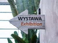 Wakacyjne safari 2018 | wernisaż