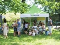 Piknik w Parku Biskupińskim
