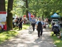 Piknik w Parku Biskupińskim