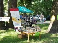 Piknik w Parku Biskupińskim