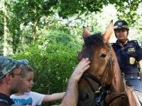 Piknik w Parku Biskupińskim