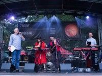 Zdolny Wrocław gra na Wielkiej Wyspie