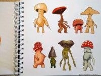 Grzyby | aut. Kalina Kowalska
