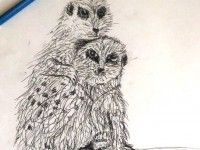 Surykatki | aut. Malwina Szyszka