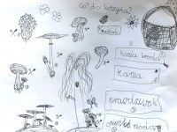 Grzyby | Zosia Żurowska, klasa 1