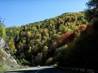Dilija (Dilidzian)