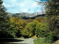 Dilija (Dilidzian)