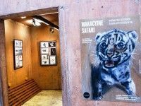 Wakacyjne safari | zapraszamy do Afrykarium