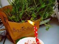 Oto COŚ zamiast tortu - lody z mrożonych owoców dodatkiem zmiksowanych orzechów nerkowca z wegańską bitą śmietaną 