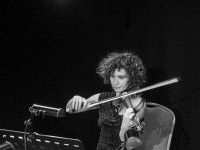 Dorota Pindur