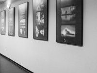 IMG_9892