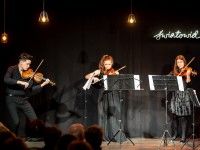 Suoni String Quartet