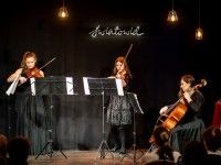 Suoni String Quartet