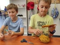 Ameryka Południowa: lamy i alpaki