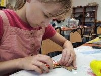 Ameryka Południowa: lamy i alpaki