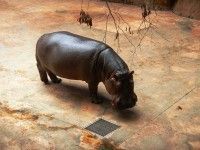 Plener Wakacyjne safari 