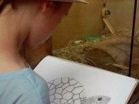 Kalina podgląda młode zółwiki