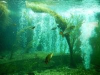 Wakacyjne safari/ Odrarium