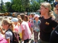 Wakacyjne safari/ z panią Beatą w zagrodzie kotików