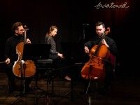 Konrad Bargieł, Marta Plasota-Bargieł, Michał Koziński