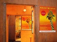 Wakacyjne safari_wystawa poplenerowa (23)