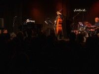 Ari Erev Trio