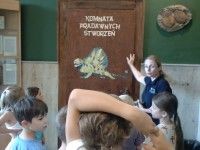 W Muzeum Geologicznym