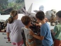 W Muzeum Geologicznym