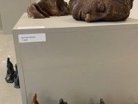 Wystawa Ceramiczne pod-szepty