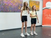 Popisy artystyczne