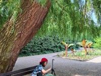 W Ogrodzie Botanicznym