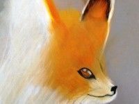 Wakacyjne safari | 2018