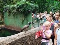 Wakacyjne safari | 2018 | cz2